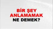 Bir Şey Anlamamak
