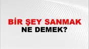 Bir Şey Sanmak