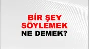 Bir Şey Söylemek
