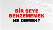 Bir Şeye Benzememek