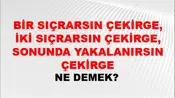 Bir Sıçrarsın Çekirge, İki Sıçrarsın Çekirge, Sonunda Yakalanırsın Çekirge (Veya üçüncüsünde avucuma düşersin çekirge)