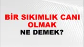 Bir Sıkımlık Canı Olmak