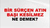 Bir Sürçen Atın Başı Kesilmez