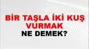 Bir Taşla İki Kuş Vurmak
