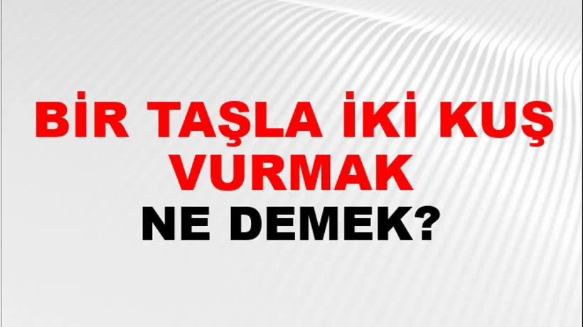 Bir Taşla İki Kuş Vurmak Bir Taşla İki Kuş Vurmak