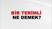 Bir Terimli