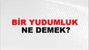 Bir Yudumluk