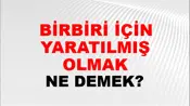 Birbiri İçin Yaratılmış Olmak