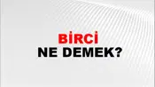 Birci