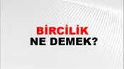 Bircilik
