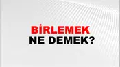 Birlemek
