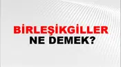 Birleşikgiller