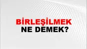Birleşilmek