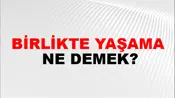 Birlikte Yaşama