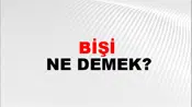 Bişi