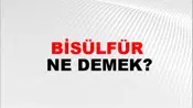 Bisülfür