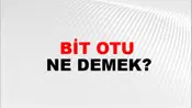Bit Otu
