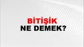Bitişik