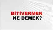 Bitivermek