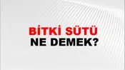 Bitki Sütü