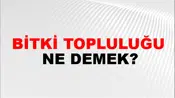 Bitki Topluluğu