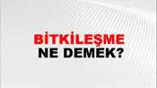 Bitkileşme