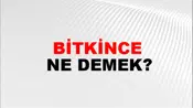 Bitkince