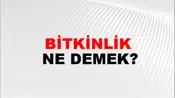 Bitkinlik
