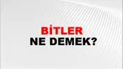 Bitler
