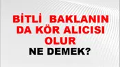 Bitli (Veya kurtlu) baklanın da kör alıcısı olur