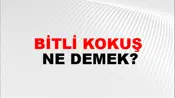 Bitli Kokuş