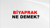 Biyaprak