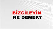 Bizcileyin