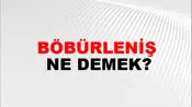 Böbürleniş