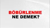 Böbürlenme