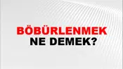 Böbürlenmek