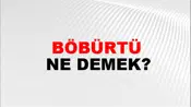 Böbürtü
