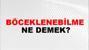 Böceklenebilme