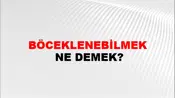 Böceklenebilmek
