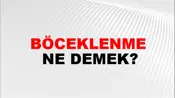 Böceklenme