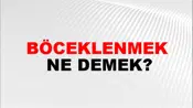 Böceklenmek