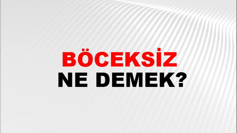 Böceksiz Böceksiz