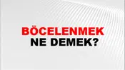 Böcelenmek