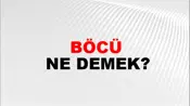 Böcü
