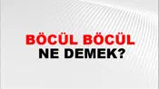 Böcül Böcül