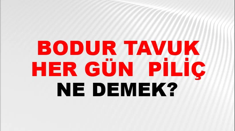 Bodur Tavuk Her Gün (Veya dem) piliç Bodur Tavuk Her Gün (Veya dem) piliç