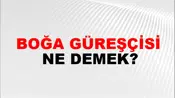 Boğa Güreşçisi