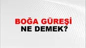 Boğa Güreşi
