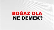 Boğaz Ola