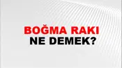Boğma Rakı